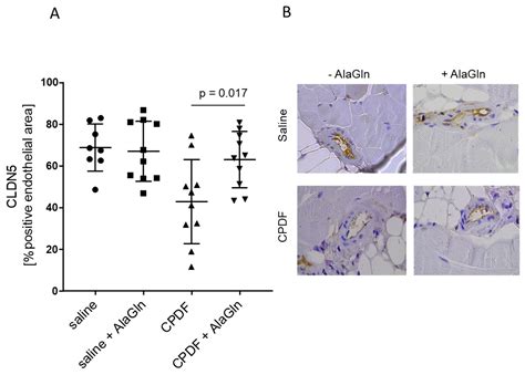 Alanyl-Glutamine Restores Tight Junction Organization after Disruption ...
