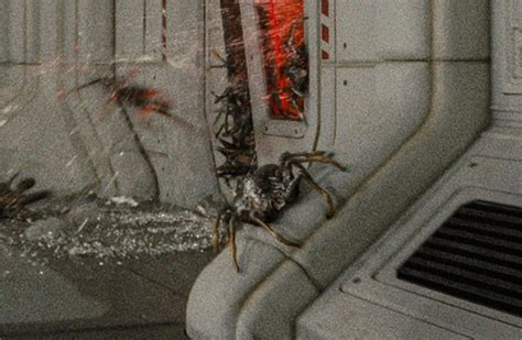 Image result for Alien Facehugger Types