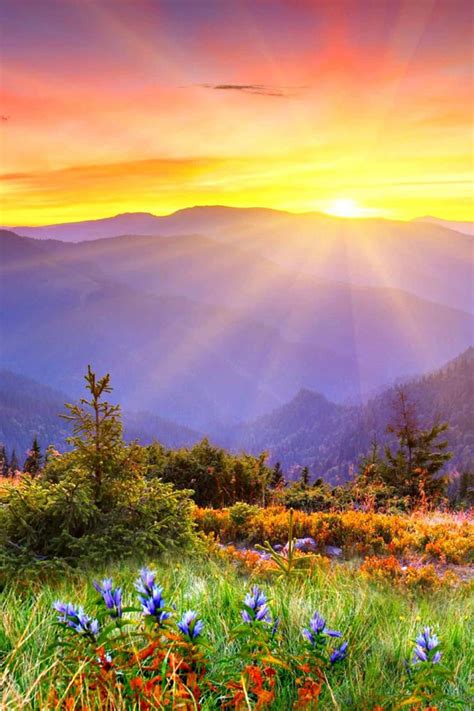 Morning Routine for Vacation 的图像结果