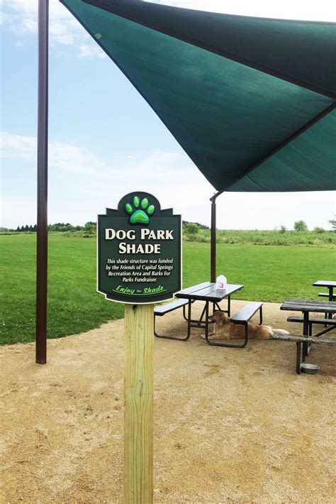 Capital Springs Recreation Area Dog Park Recreation Project