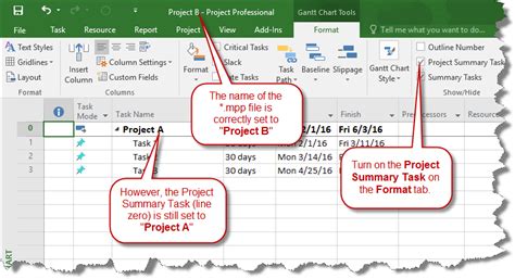 Image result for Summary Task MS Project