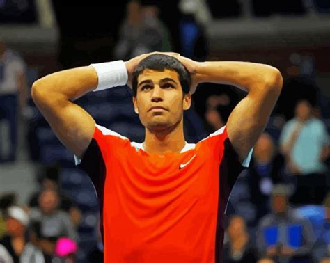 Alcaraz 的图像结果