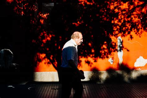 Image result for High Contrast Color Photography