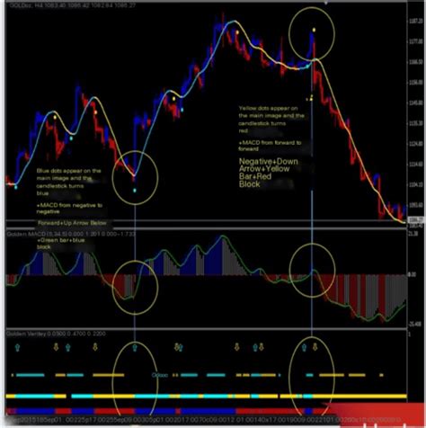 Master the Forex Market with Our Unrivaled No Repaint Indicator: Unlock ...