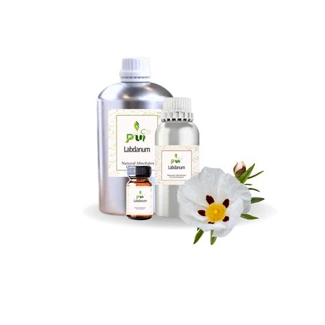 Labdanum – Shubham Natural Fragrances