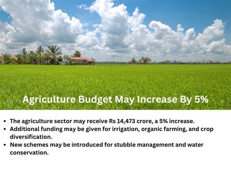 Punjab budget targets drugs, industry, and jobs