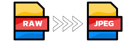 Conversor gratuito de RAW para JPEG Online
