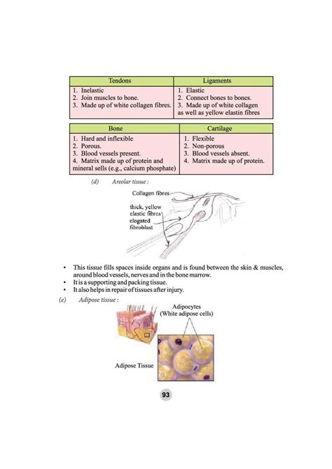 Class 9 Science Tissue 的图像结果