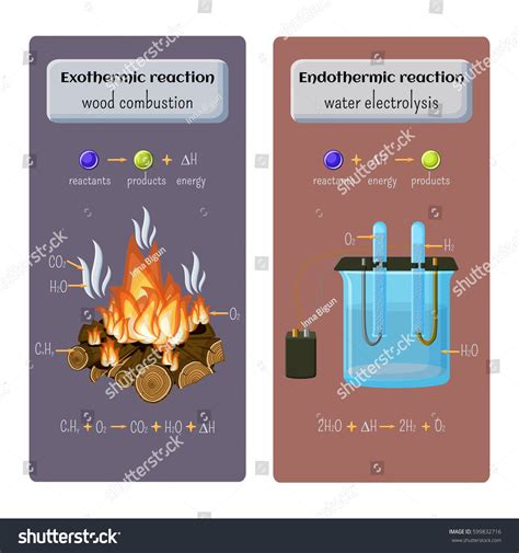 Combustion Process Exothermic at Mary Lockridge blog