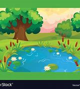 Image result for Cartoon Pond