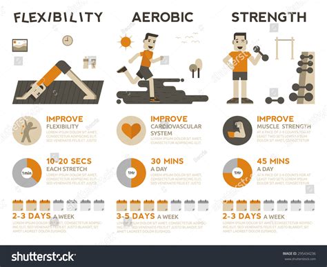 Illustration 3 Types Exercises Flexibility Aerobic Stock Vector ...