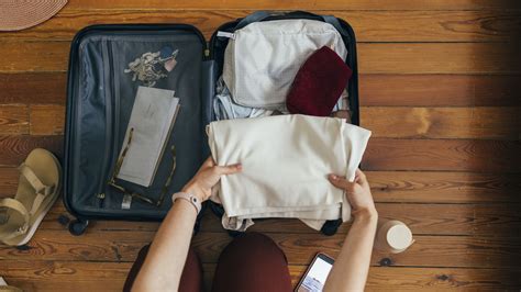 Can You Bring Plants on a Plane Internationally? Rules & Regulations Guide