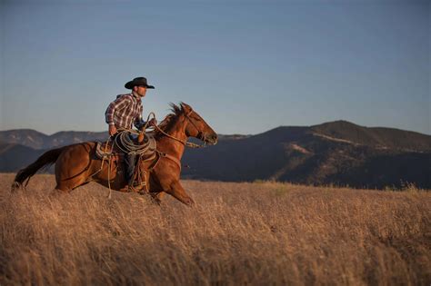 Country Hats 的图像结果