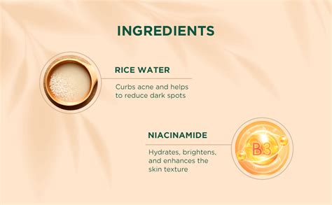 Niacinamide Moisturizer Gel with Rice for Glass Skin- Biotique