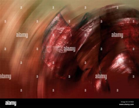 Image result for Alien Life Form