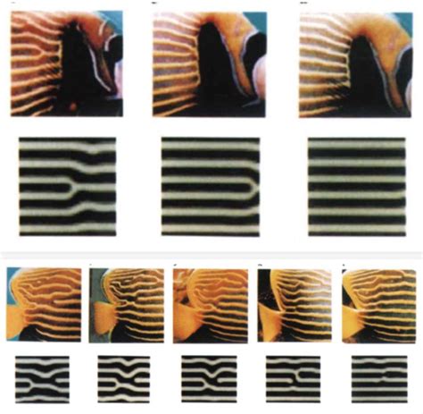 Image result for Alan Turing Timeline