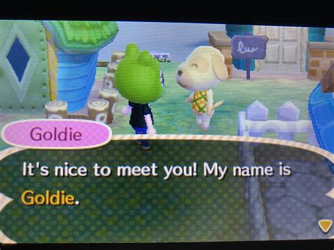 Goldie Animal Crossing