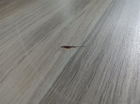 How to repair dent in vinyl floor? : r/Home