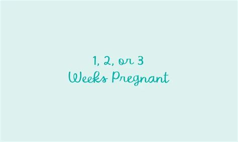 1 Week, 2 Weeks, 3 Weeks: Pregnancy Symptoms, Fetal Development