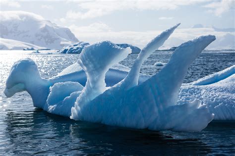 Image result for Ice Creatures