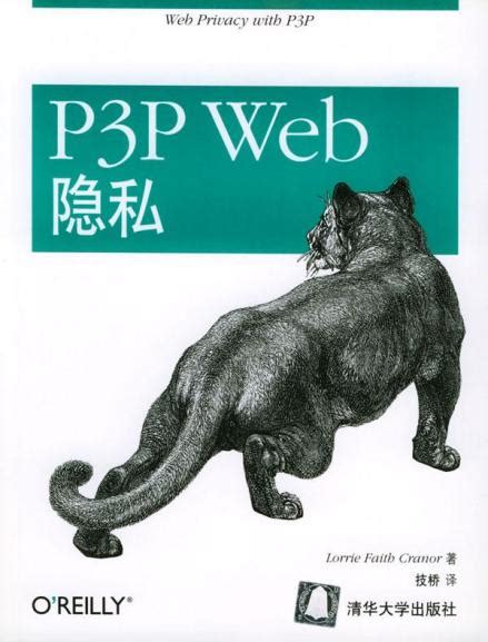 P3p Text Box 的图像结果