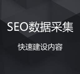 seo优化外包顾问(seo外包优化服务) - 洋葱SEO
