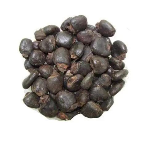 Serankottai - Biba - बिबा - Semecarpus Anacardium- Bhilawa Seeds ...