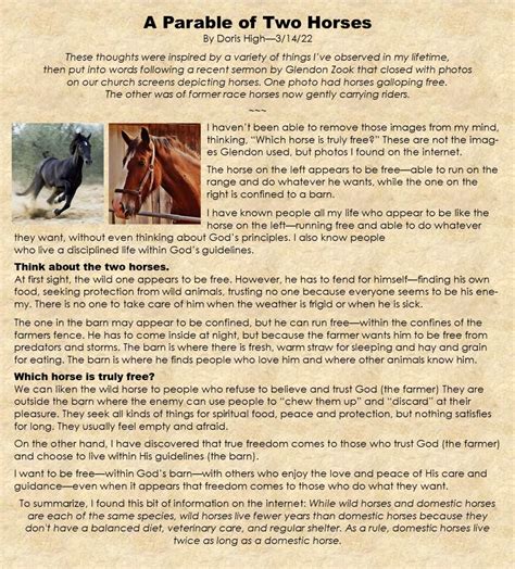 The-Tale-of-Two-Horses – My Journey – by Doris High