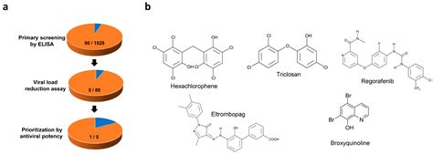 Screening of an FDA-Approved Drug Library with a Two-Tier System ...