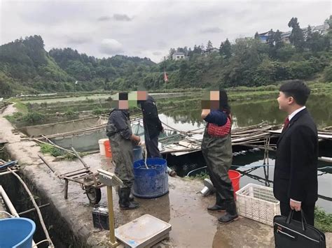 鱼塘租赁起纠纷，贵州遵义余庆法院这样处理……_水产快讯（水产养殖）_水产养殖网