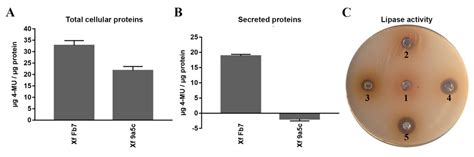 Xylella fastidiosa subsp. pauca Strains Fb7 and 9a5c from Citrus ...