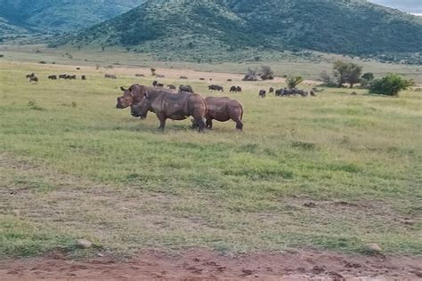 JOHANNESBURG & SOWETO TOUR - All You Need to Know BEFORE You Go 2026 ...