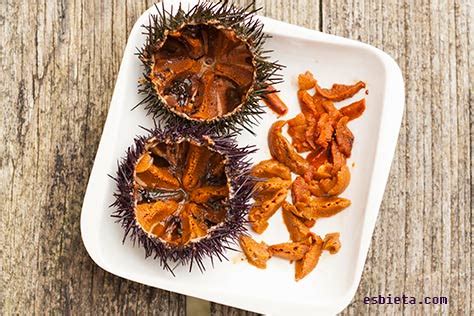 Cómo abrir y limpiar los erizos del mar - Recetas de Esbieta