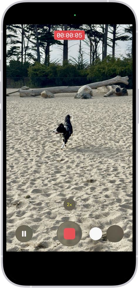 Record a video with your iPhone camera - Apple Support (IN)