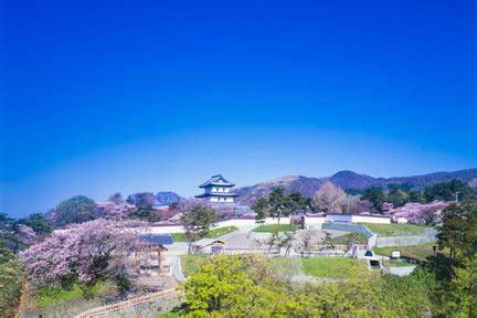 Best Goryokaku Park Tours, Japan 2025