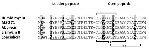 Identification and Heterologous Expression of the Biosynthetic Gene ...