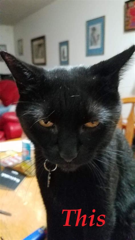 Kindle_Vella_Stories