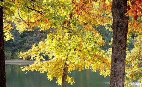 DAVIDSONVILLE HISTORIC STATE PARK (2026) All You Need to Know BEFORE ...