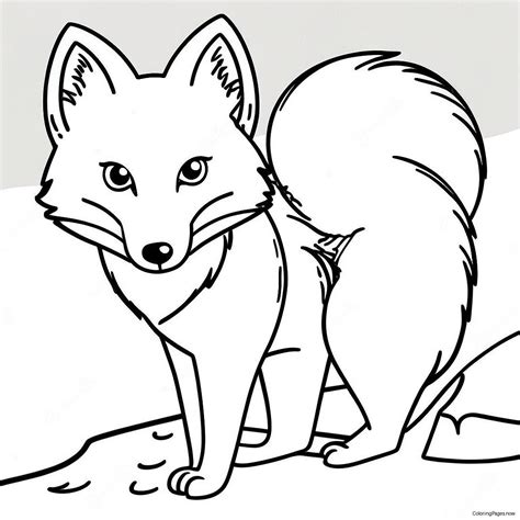 Arctic Fox Coloring Page (26793-21506)