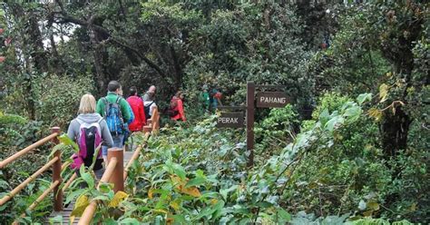 Gunung Jasar Mountain Trail Tour - Klook India