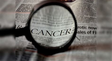 Monash scientists discover that highly lethal viruses hijack cellular ...