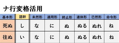Auto Docstring Visual Studio 的图像结果