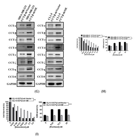 Cancers | December 2020 - Browse Articles