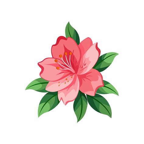 Page 8 | Rhododendron viscosum Vectors - Download Free High-Quality ...