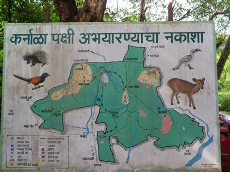 www.timetotravel.co.in: Karnala Bird Sanctuary - How to go, Things to do