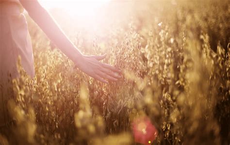 Image result for Triple Negative Recurrence