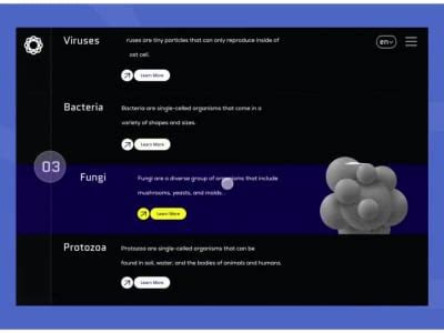 3D Object Using WebGL JavaScript 的图像结果