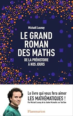Le grand roman des maths : de la préhistoire à nos jours (French ...