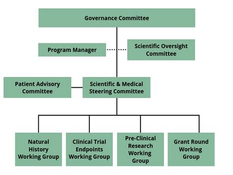 Governance Committee 的图像结果