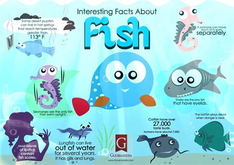 interesting facts about fish | Fun facts, Bass fishing tips, Facts ...